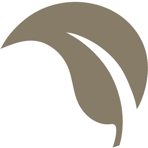 BFI Emblem