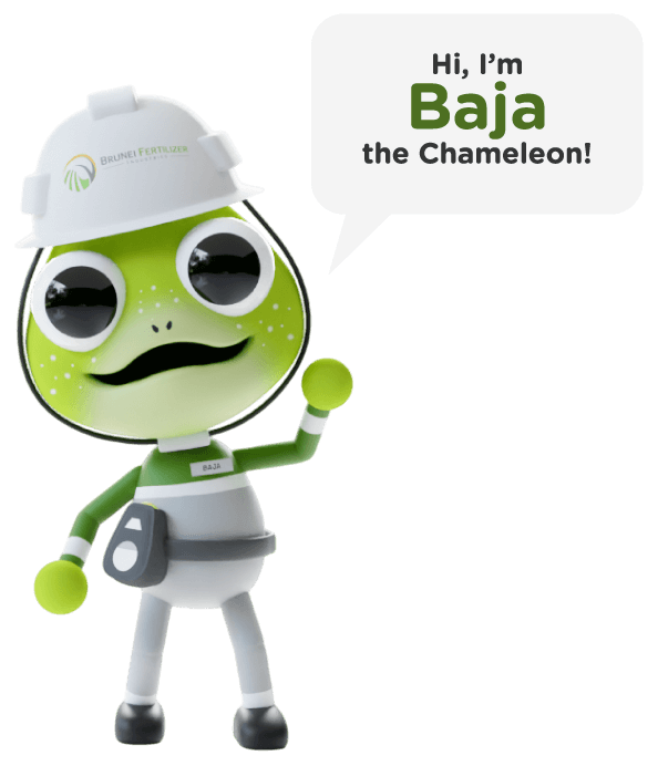 Baja the Chameleon